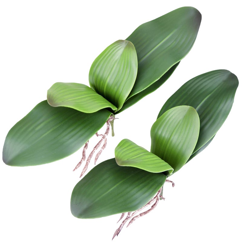 Fnize Faux Orchid Leaves Artificial Phalaenopsis Leaf Bulk 10 Inches 2pcs Real Touch Latex Cymbidium Stems Green Plant - Image 1
